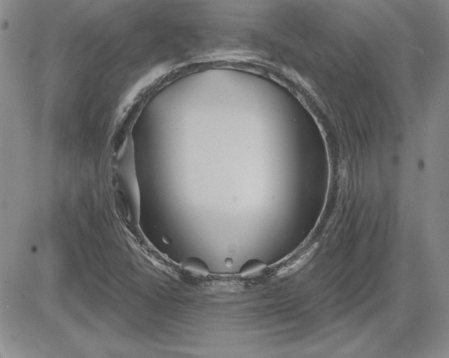 X0000081421406200701261542