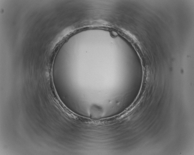 X0000081421407200701261542