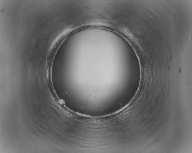 X0000081421408200701261542