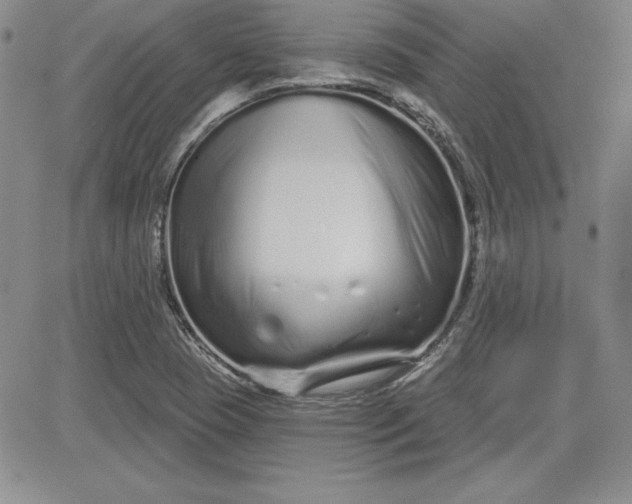 X0000081421409200701261542