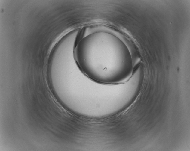 X0000081421410200701261542