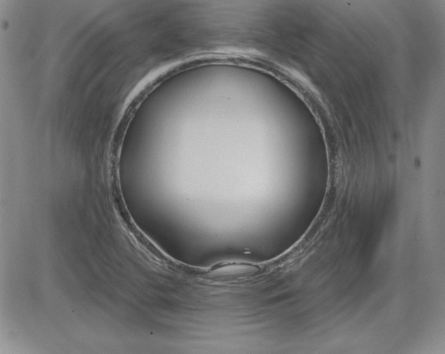 X0000081421412200701261542