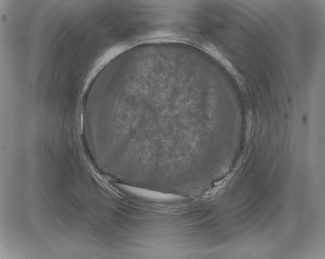 X0000081421413200701261542