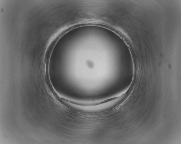 X0000081421414200701261542