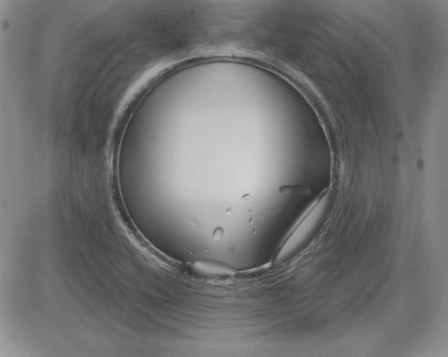 X0000081421416200701261542