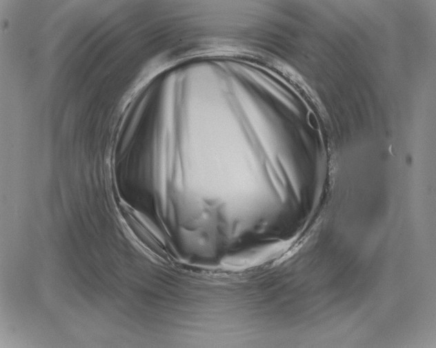 X0000081421417200701261542