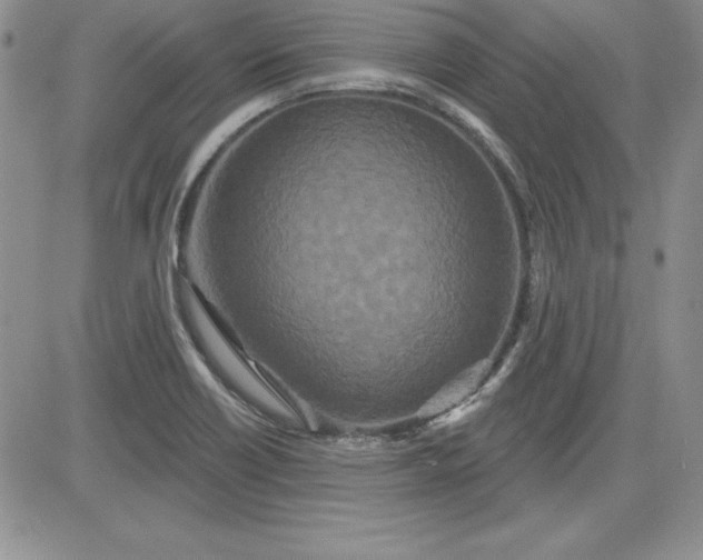 X0000081421418200701261542