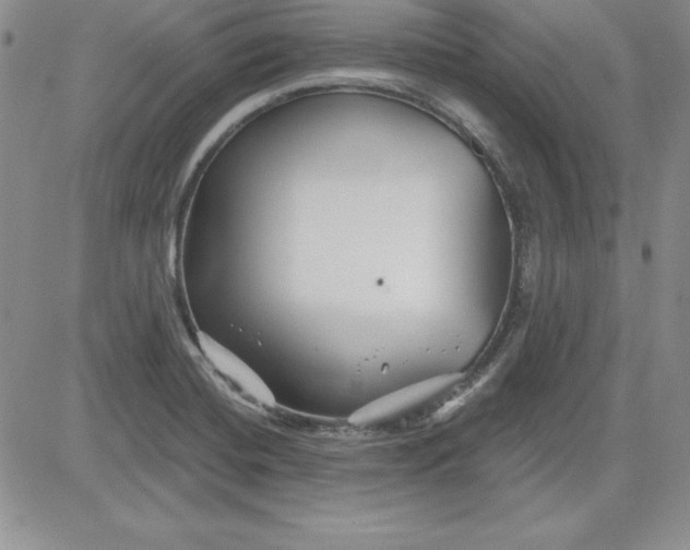 X0000081421420200701261542