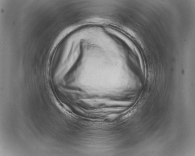 X0000081421421200701261542