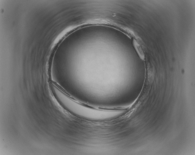 X0000081421422200701261542