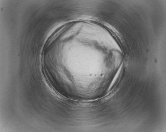 X0000081421423200701261542