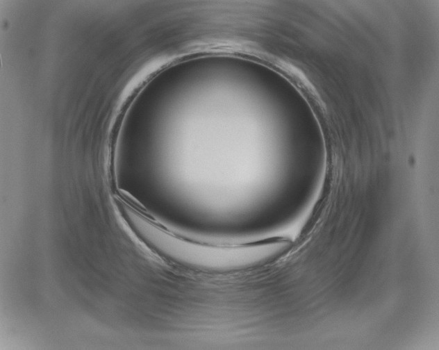 X0000081421424200701261542