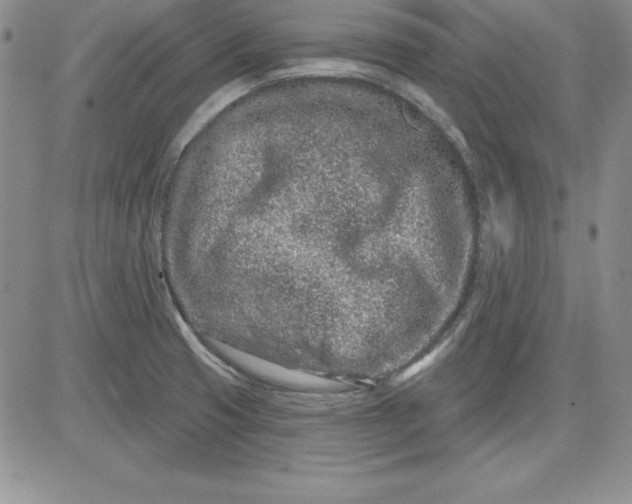 X0000081421425200701261542