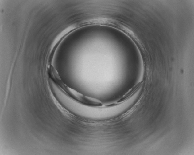 X0000081421426200701261542