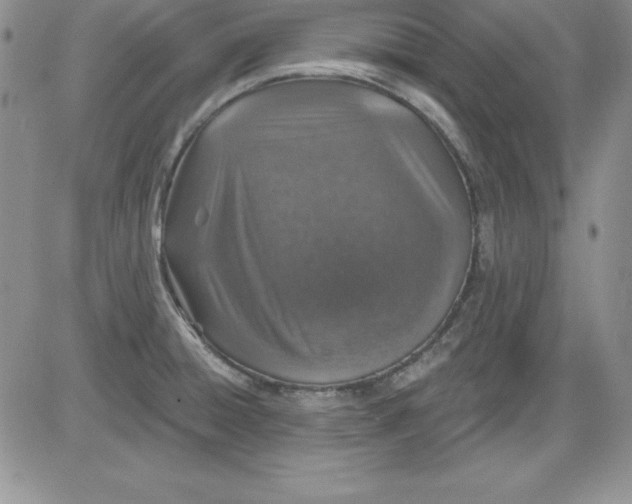 X0000081421428200701261542