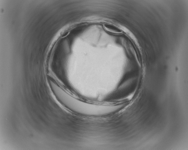 X0000081421429200701261542