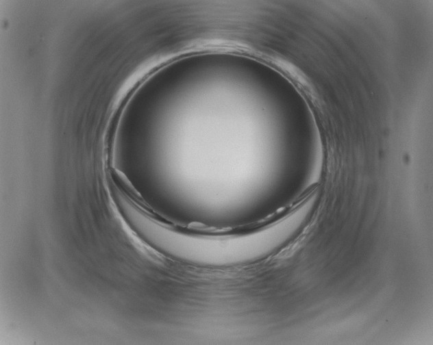 X0000081421430200701261542