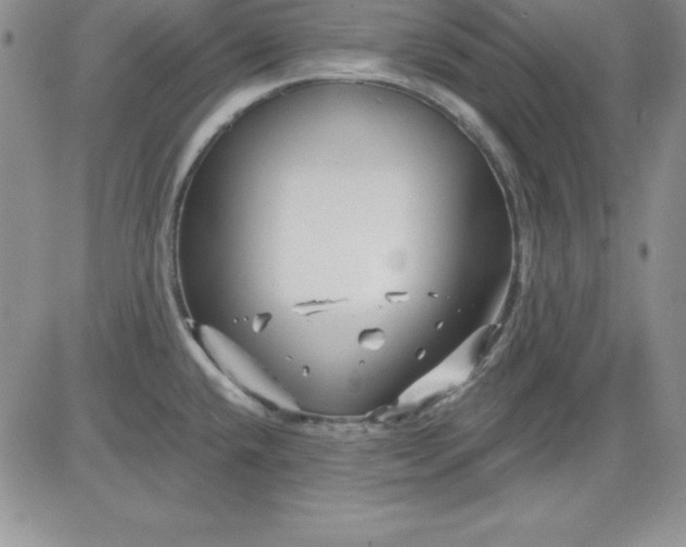 X0000081421432200701261543