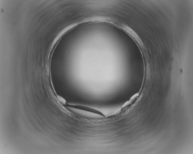 X0000081421436200701261543