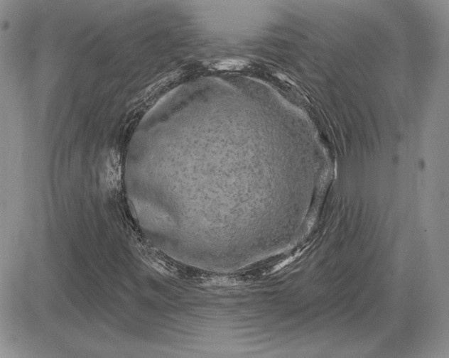 X0000081421443200701261542