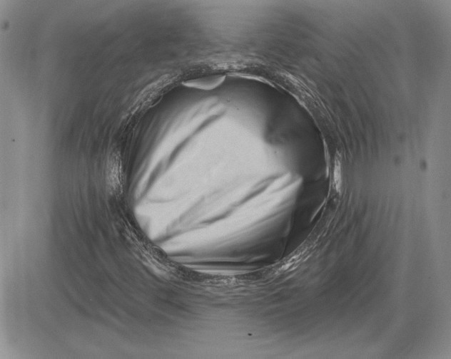 X0000081421444200701261542