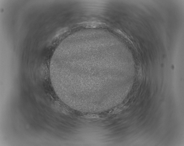 X0000081421446200701261542