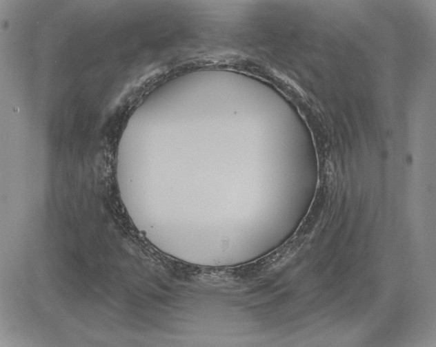 X0000081421447200701261542