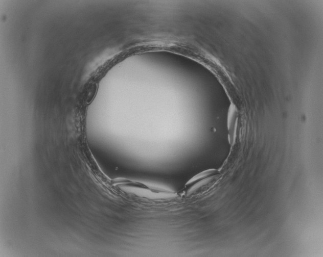 X0000081421448200701261542