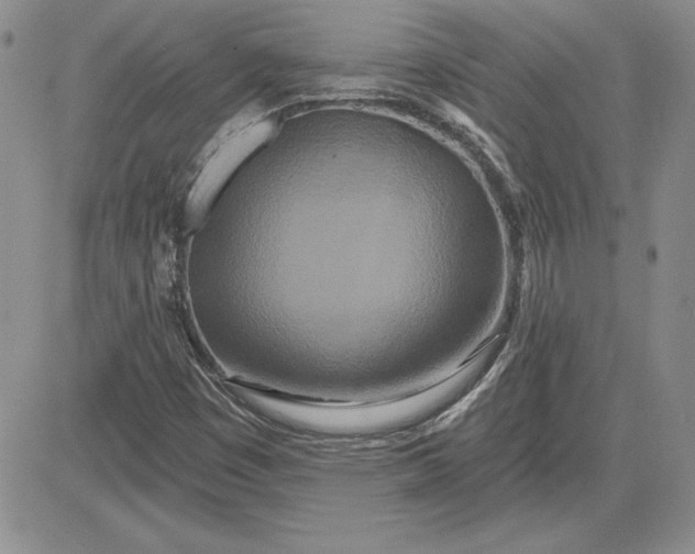 X0000081421449200701261542