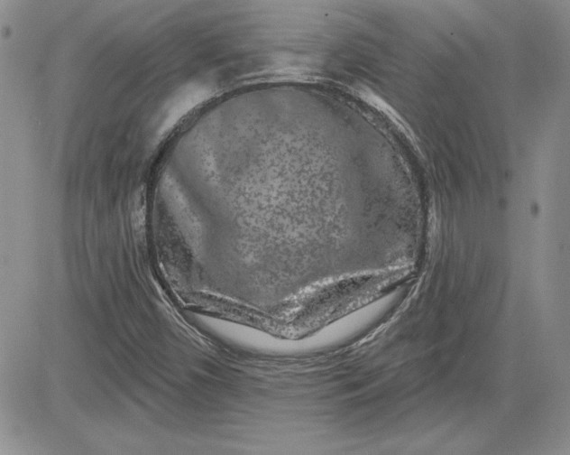 X0000081421450200701261542