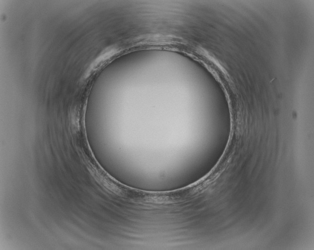 X0000081421451200701261542