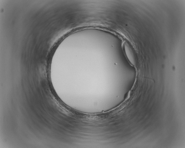 X0000081421452200701261542