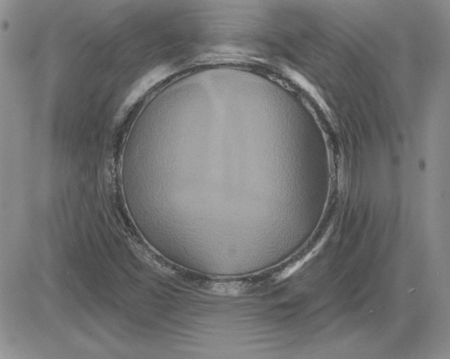 X0000081421453200701261542