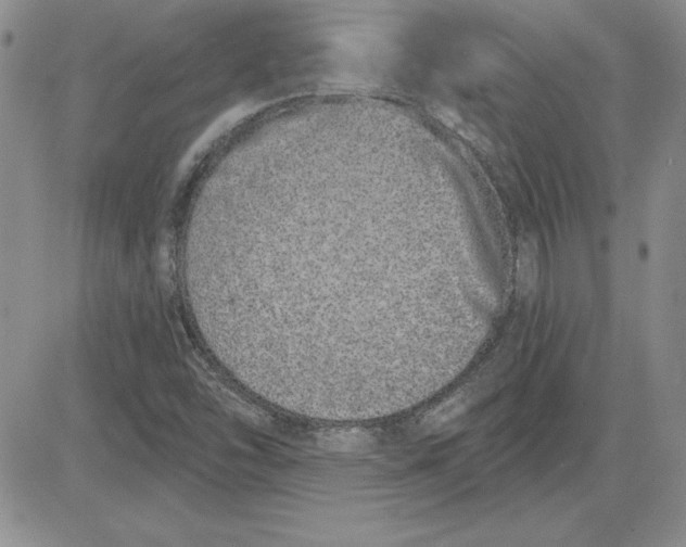 X0000081421454200701261542