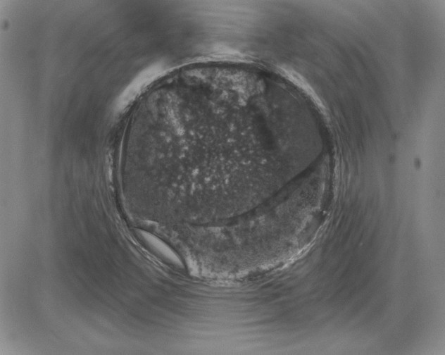 X0000081421455200701261542