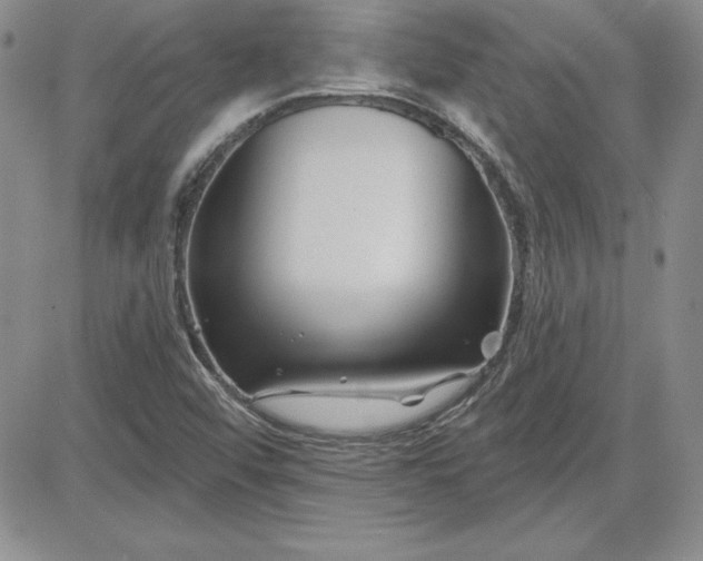 X0000081421456200701261542