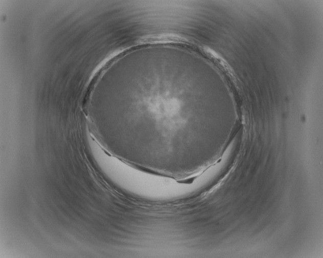 X0000081421457200701261542