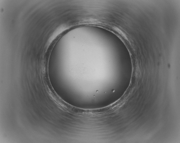 X0000081421458200701261542