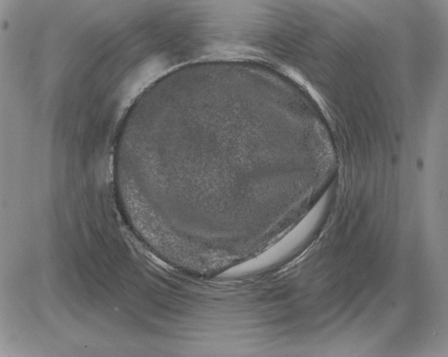 X0000081421459200701261542