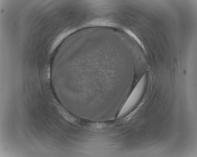 X0000081421461200701261542