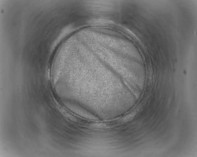 X0000081421462200701261542