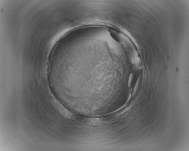 X0000081421463200701261541