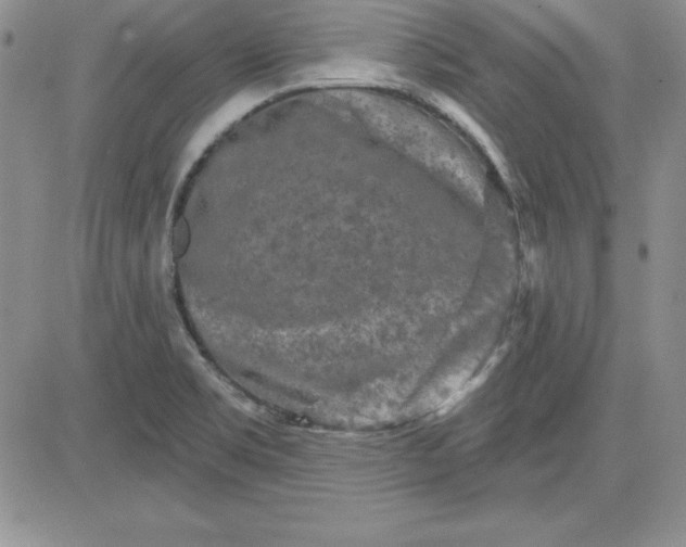 X0000081421469200701261541