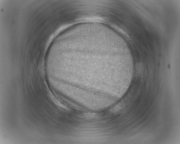 X0000081421470200701261541