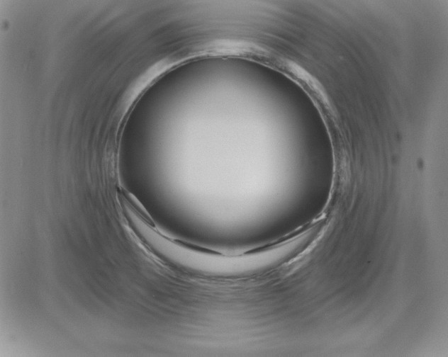 X0000081421473200701261541