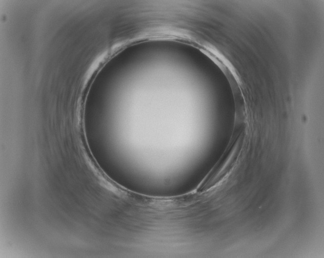 X0000081421477200701261541