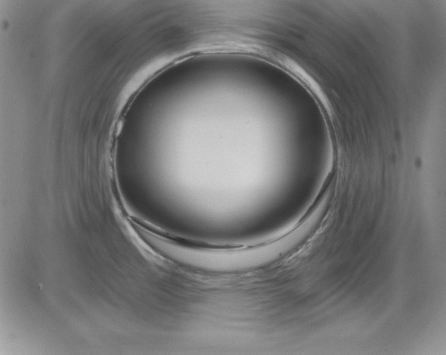 X0000081421485200701261541