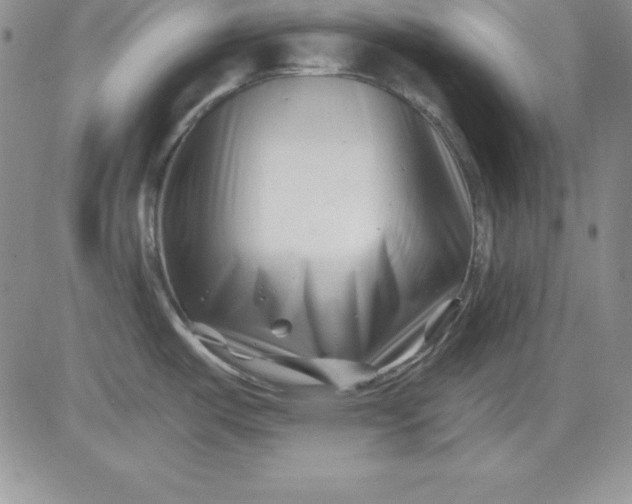 X0000081421487200701261541