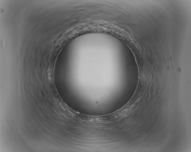X0000081421490200701261540