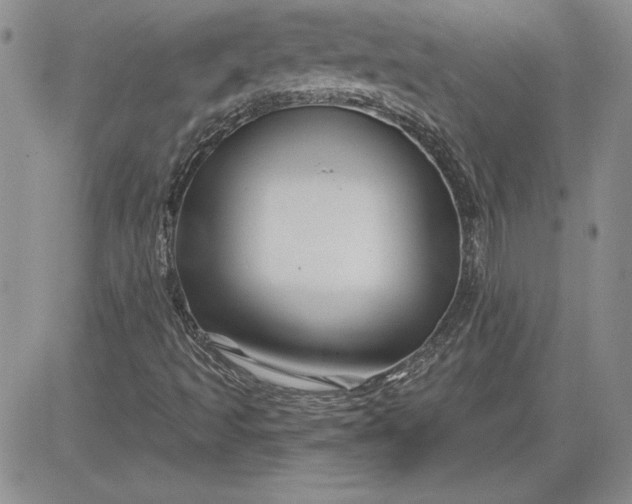 X0000081421493200701261540